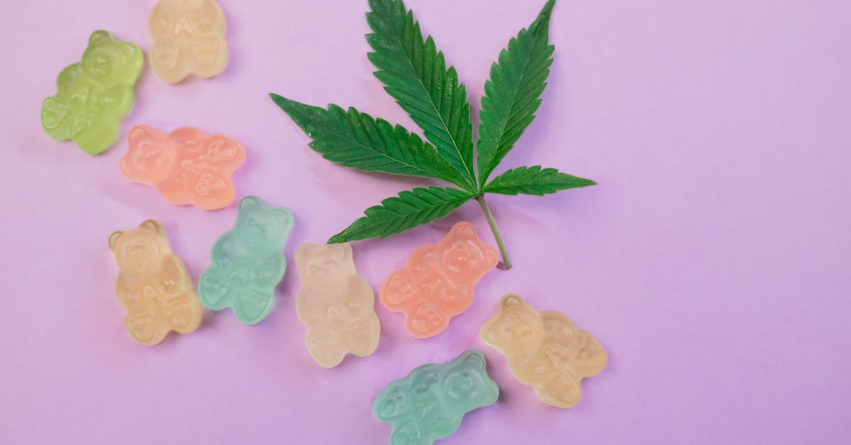 Close-Up Photo of Assorted Colored Gummy Bears.