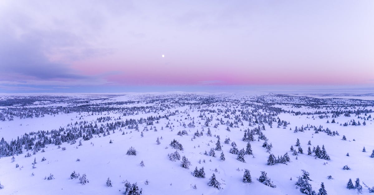 A photograph capturing a snowy landscape.