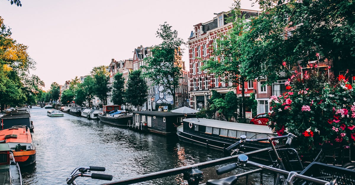 A picturesque scene unfolds upon a bridge, where three bicycles stand upright, parked in a neat row, against the backdrop of a tranquil waterway.