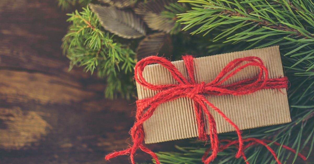 A festive Christmas scene with a gift wrapped in brown paper and a red bow.