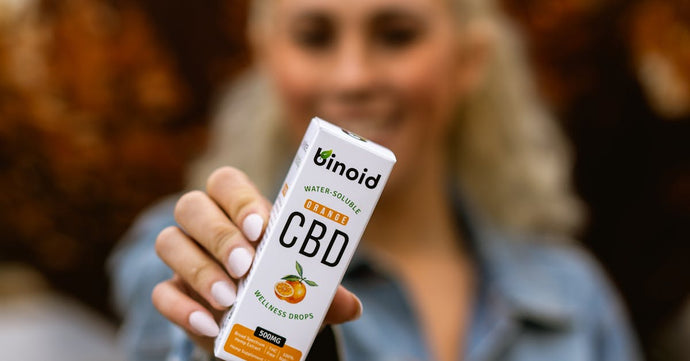 The Role of CBD in Wellness: Benefits Beyond the Buzz