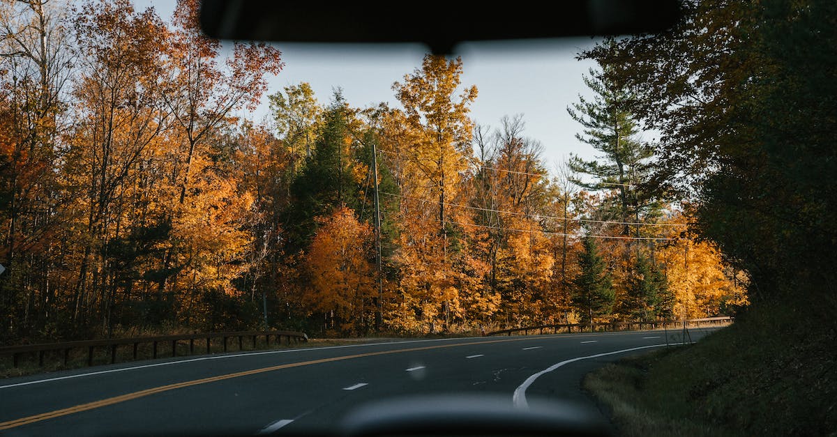 An image capturing a winding road.