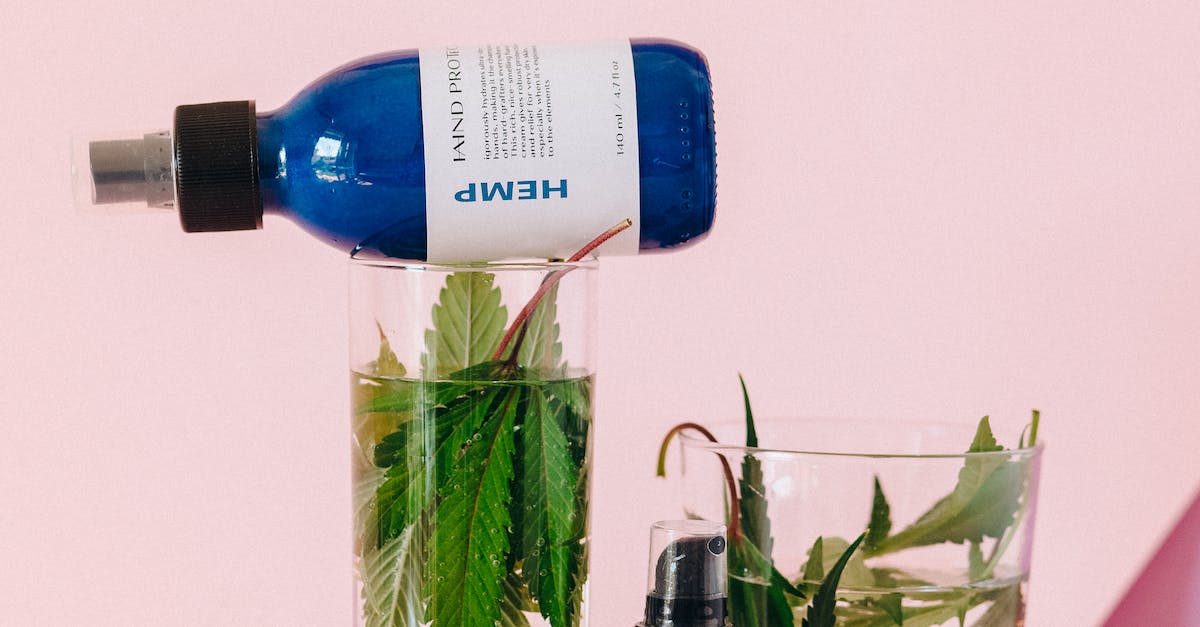 A glass of water with hemp leaves sits beneath a bottle of hemp oil.