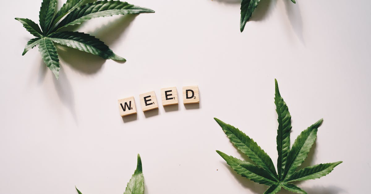 A photo of cannabis leaves and a scrabble WEED letters. 